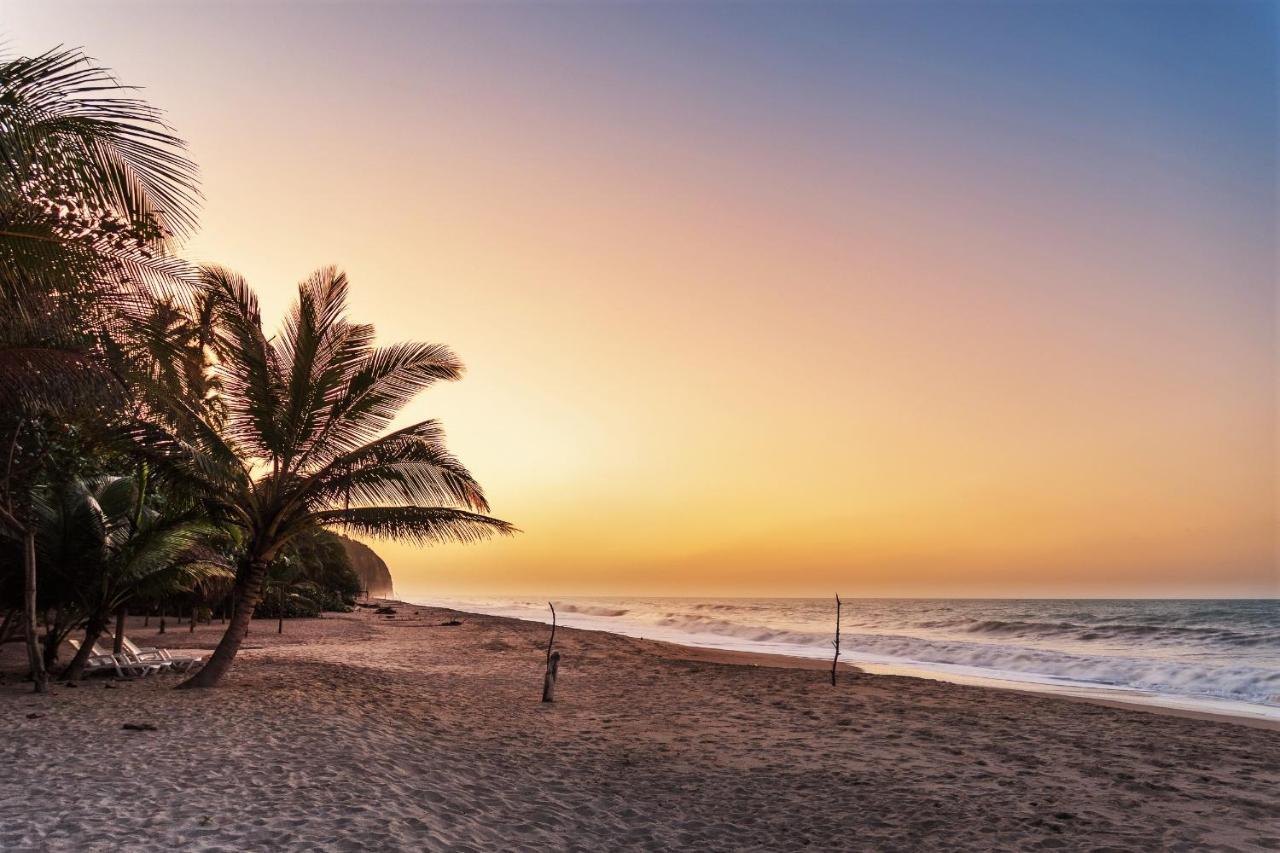Hotel Casalina Palomino Dış mekan fotoğraf