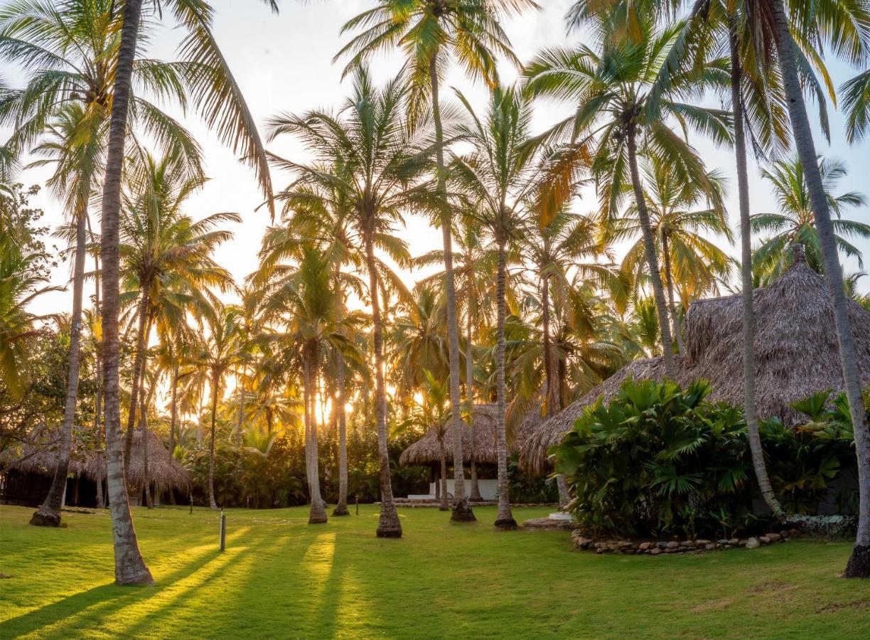 Hotel Casalina Palomino Dış mekan fotoğraf