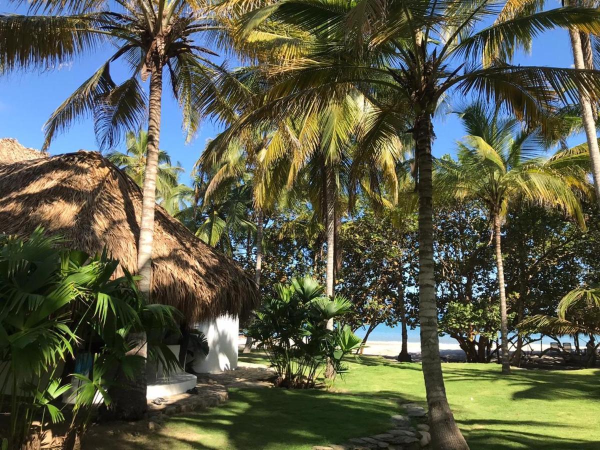 Hotel Casalina Palomino Dış mekan fotoğraf