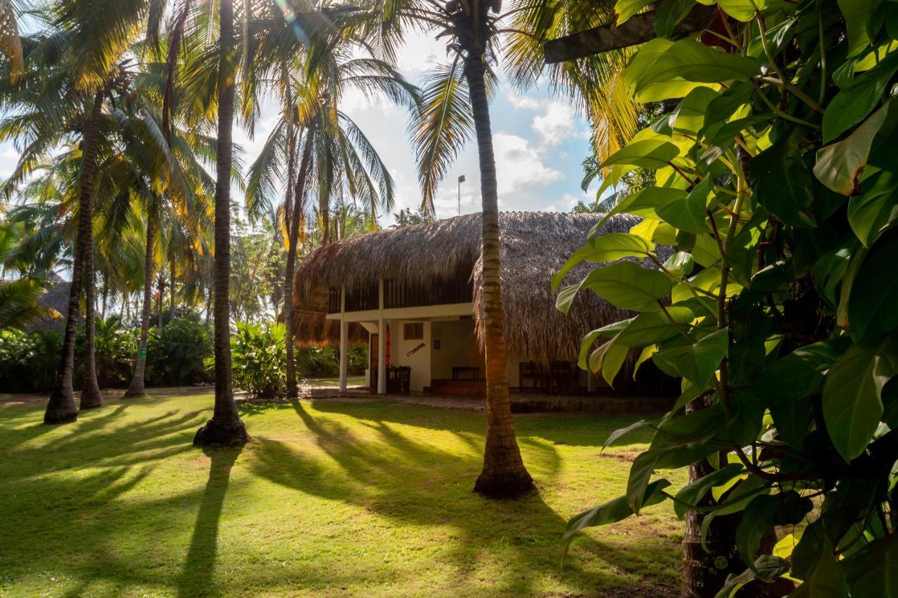 Hotel Casalina Palomino Dış mekan fotoğraf