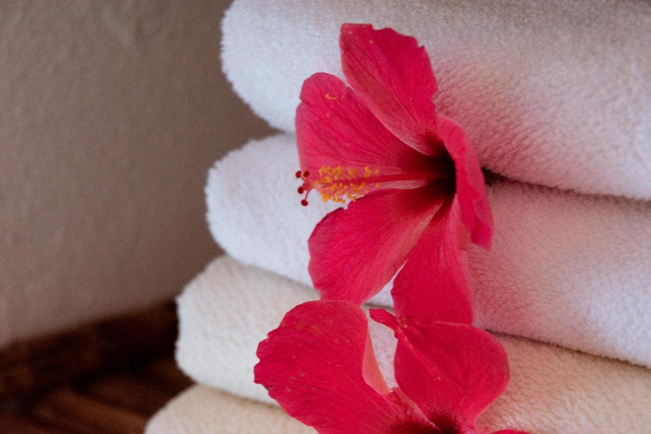Hotel Casalina Palomino Dış mekan fotoğraf