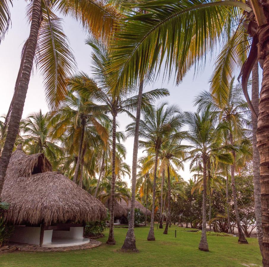 Hotel Casalina Palomino Dış mekan fotoğraf