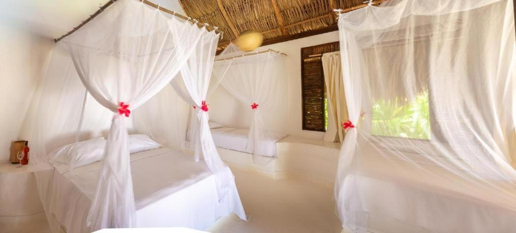 Hotel Casalina Palomino Dış mekan fotoğraf