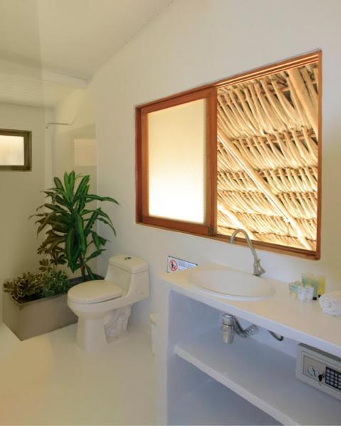Hotel Casalina Palomino Dış mekan fotoğraf