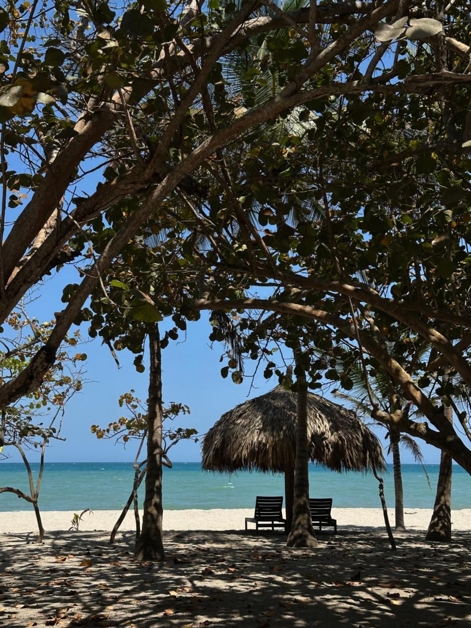 Hotel Casalina Palomino Dış mekan fotoğraf