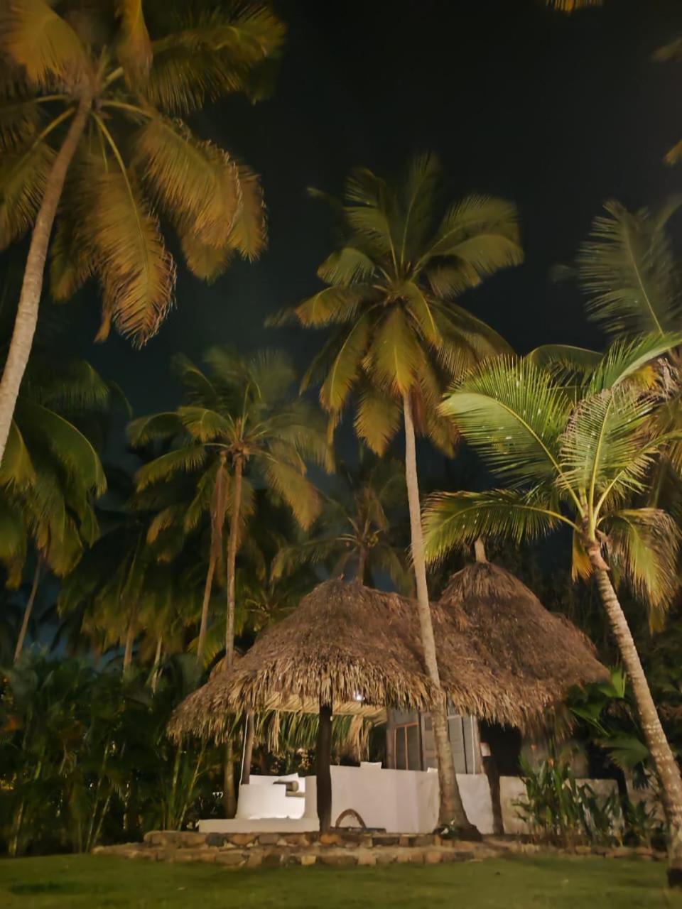 Hotel Casalina Palomino Dış mekan fotoğraf
