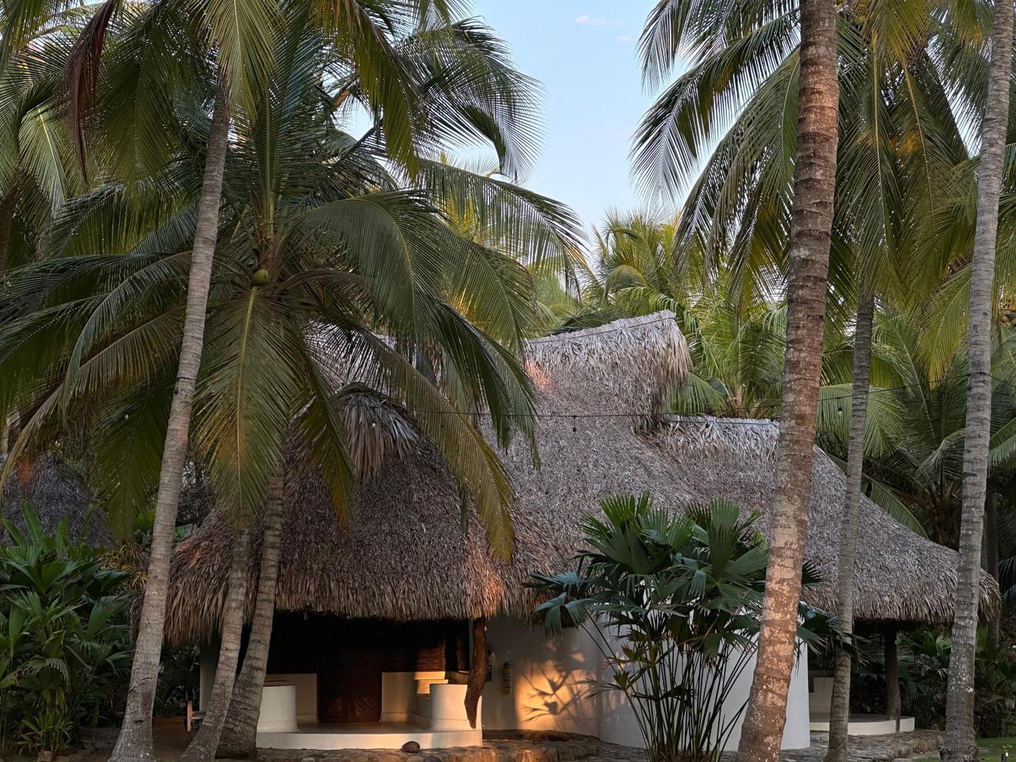 Hotel Casalina Palomino Dış mekan fotoğraf